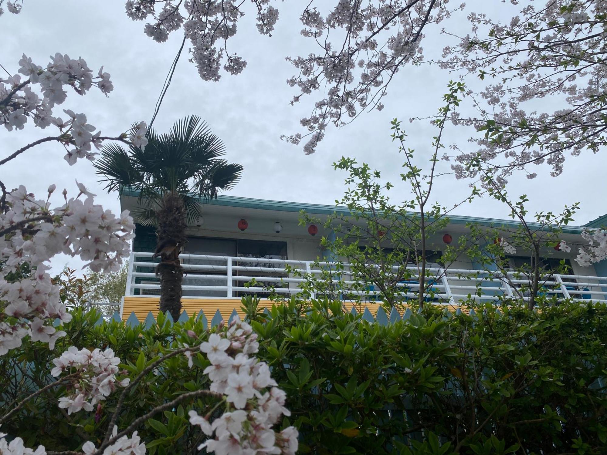 Hanamizuki Onsen Resort Іто Екстер'єр фото